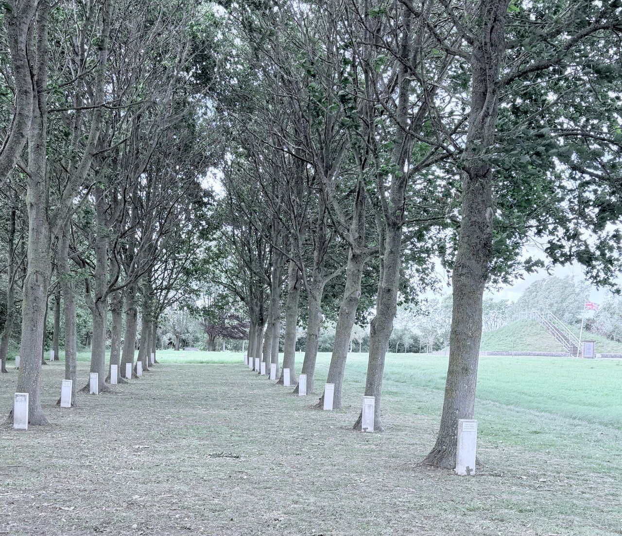 Le circuit de la Plaine au Bois